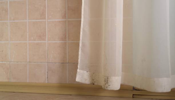Dehumidification Services in Apex, NC