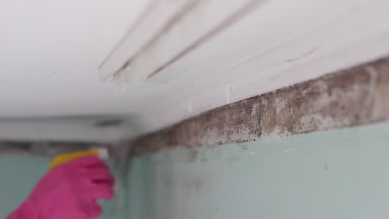 Mold Remediation for Rental Properties in Apex, NC